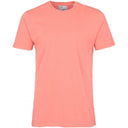 CLASSIC ORGANIC TEE - Stomping Ground