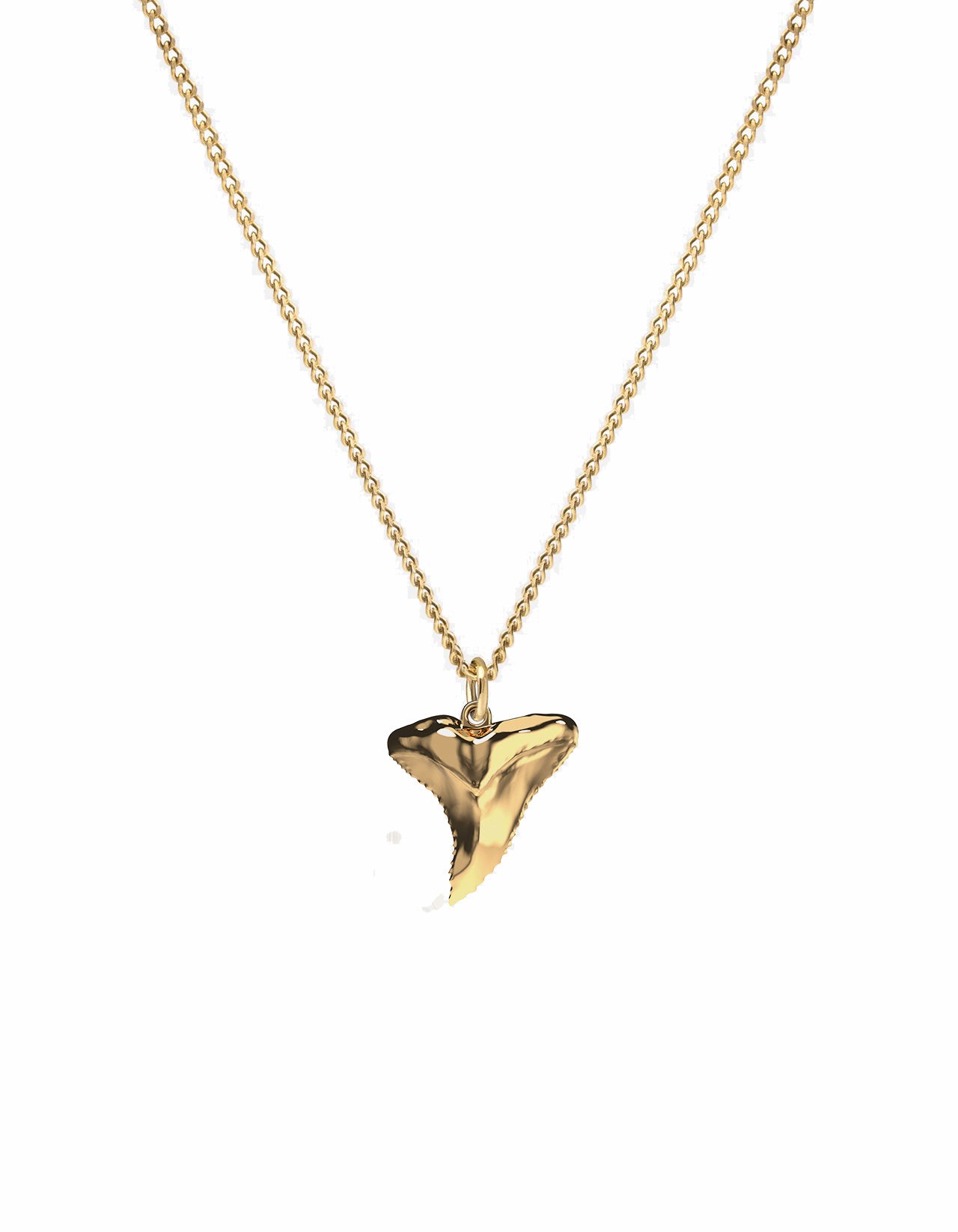 Shark tooth sale pendant necklace