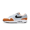 Nike Air Max 1 - Stomping Ground