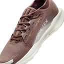 Nike Pegasus Trail 5 GTX SP - Mink Brown/Baroque Brown