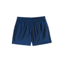 Iridescent Modern Trunk - Sapphire