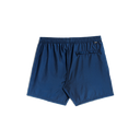 Iridescent Modern Trunk - Sapphire