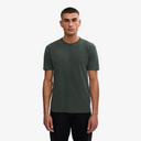 Classic Organic T-Shirt - Midnight Forest