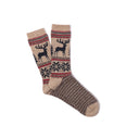 {{product.vendor}} {{product.title}} {{product.description}}