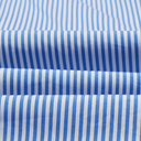 Bengal Stripe Button Down Poplin Shirt - Blue