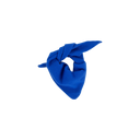 Royal Azure Bandana