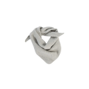 Silver Bandana