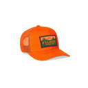 {{product.vendor}} {{product.title}} {{product.description}}