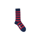 {{product.vendor}} {{product.title}} {{product.description}}