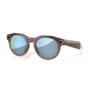 Meta HSTN - Brown Smoke/Prizm Deep Water Polarized