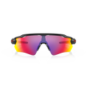 Radar EV Path - Matte Black/ Prizm Road