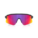 Stunt Devil - Matte Black / Prizm Road