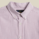 Brushed Oxford Stripe - Bordeaux