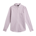 Brushed Oxford Stripe - Bordeaux