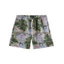 Park Tapestry Shorts - Multi