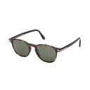 Holt - Dark Havana - FT1302-52R-Polarized