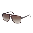 Kemp - Dark Havana - TF1177 52B