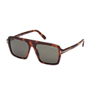 Vincent - Blonde Havana  - FT1176 53N