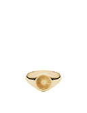 Solar Signet Ring - Stomping Ground