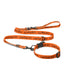 CARHARTT WIP Script Dog Leash & Collar